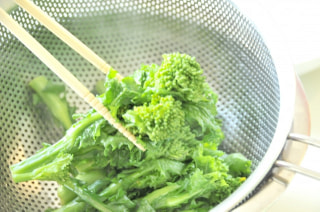 春野菜