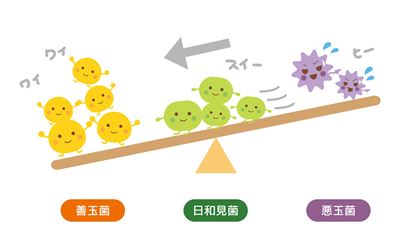 悪玉菌が減って善玉菌が増える