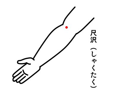 尺沢（しゃくたく）