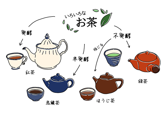 いろいろなお茶